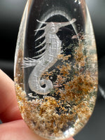 Beautiful Seahorse Garden Quartz Inner Scene with Rainbow Carving #12