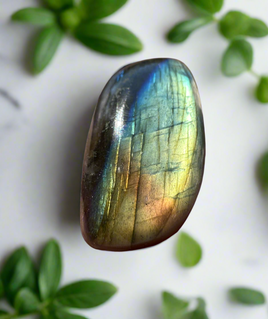 Freeform Labradorite Cabochon 51a