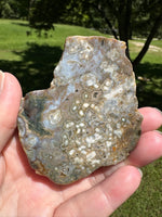 8th Vein Ocean Jasper Slab #128