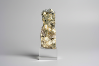 8th Vein Ocean Jasper Polished Free Form #16