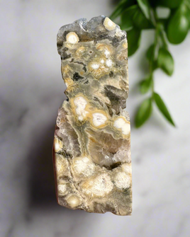 8th Vein Ocean Jasper Polished Free Form #16