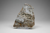 8th Vein Ocean Jasper Slab #41