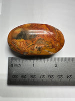 Money Agate Palm Stone #1
