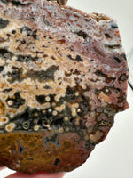 8th Vein Ocean Jasper Slab #40