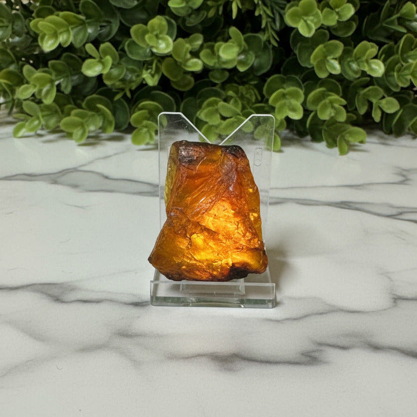 Raw Amber Specimen #9| Gems & Minerals Rock