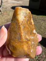 Savannah River Agate Specimen 1c