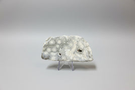 6th Vein Ocean Jasper Polished Freeform #4