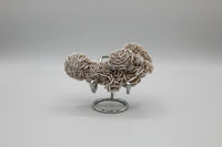 Selenite "Desert Rose," Samalayuka Desert, Chihuahua, Mexico #3