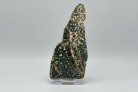 8th Vein Ocean Jasper Slab #13