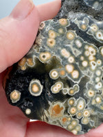 8th Vein Ocean Jasper Slab #19