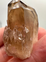 Natural Citrine Cathedral Crystal, Congo, Lightbrary #6