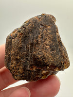 Madagascar Raw Amber Specimen #3