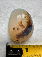 Designer Dendritic Agate Cabochon #6