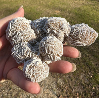 Selenite "Desert Rose," Samalayuka Desert, Chihuahua, Mexico #1