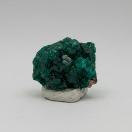 Green Dioptase from Republic of Congo Specimen #3