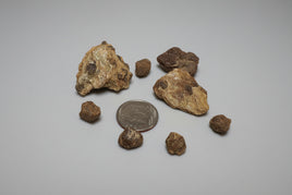 Garnet Specimen Parcel from Ball Ground Georgia