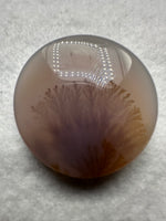 Designer Dendritic Agate Cabochon #5