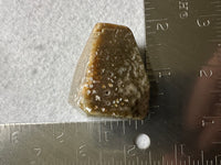 Ocean Jasper Free-form #12
