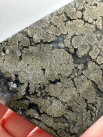 Free Form Pyrite Flowers Symbiosis Mixed Agate Slab #4