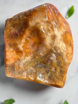 Savannah River Agate Specimen 1e