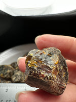 Madagascar Raw Amber Specimens BIN #2
