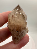 Natural Citrine Cathedral Crystal, Congo, Lightbrary #7