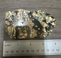 8th Vein Ocean Jasper Slab #33