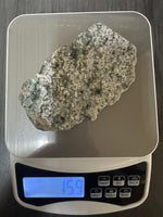 8th Vein Ocean Jasper Slab #18 – Dense White Orbs & Green Orbicular Patterns