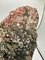 8th Vein Ocean Jasper Slab #20