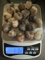 Natural Panda Agate 1lb Bag #1