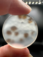 Scenic Dendritic Agate Cabochon #6