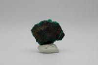 Green Dioptase from Reneville, DR Congo Specimen #2
