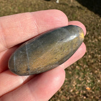 Labradorite Palmstone #25