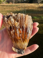 Natural Amber Calcite Raw Specimen UV Reactive #1
