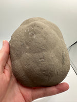 Septarian Nodule, Calcite, Muddy Creek, Orderville, Kane Co. UT UV Reactive #1