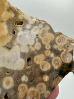 8th Vein Ocean Jasper Slab #58