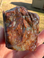Savannah River Agate Specimen 1h