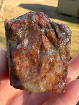 Savannah River Agate Specimen 1h
