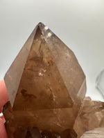 Kundalini Natural Citrine Crystal, D R Congo, Lightbrary #9
