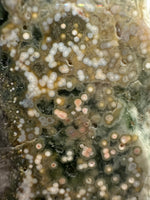 8th Vein Ocean Jasper Slab #14