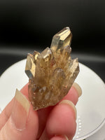 Natural Kundalini Citrine Lightbrary Crystal #13