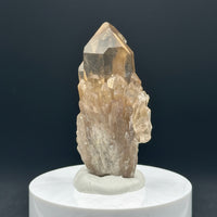 Natural Kundalini Citrine Lightbrary Crystal #12
