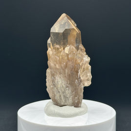 Natural Kundalini Citrine Lightbrary Crystal #12
