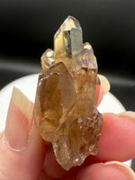 Natural Kundalini Citrine Lightbrary Crystal #13