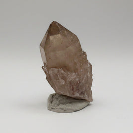 Natural Citrine Cathedral Crystal, Congo, Lightbrary #7