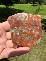 8th Vein Ocean Jasper Slab #118
