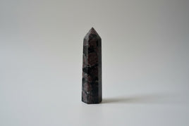 Garnet & Astrophyllite Tower #3