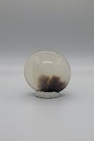 Designer Dendritic Agate Cabochon #7