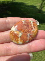 Maligano Jasper Cabochon #4