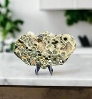 8th Vein Ocean Jasper Slab #122